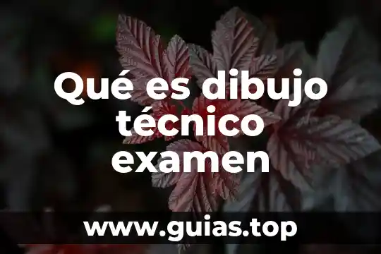 Qué es medir en dibujo técnico 7 Qué es dibujo técnico examen