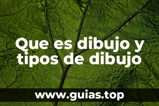 Que es un dibujo a scala 8 Que es dibujo y tipos de dibujo