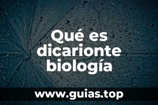 Qué es mejor una XV o un viaje 4 Qué es dicarionte biología