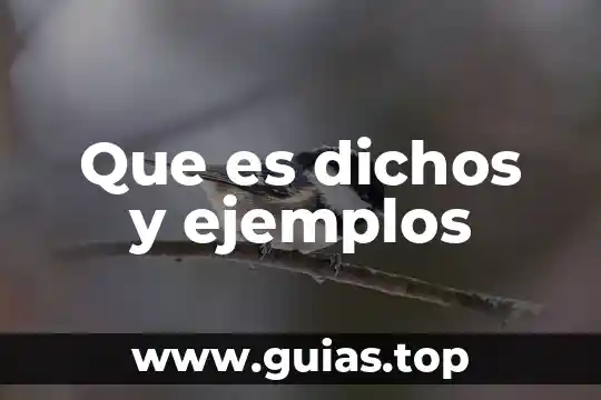 Que es underground ejemplos 5 Que es dichos y ejemplos