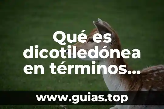 Qué es dicotiledónea en términos biológicos