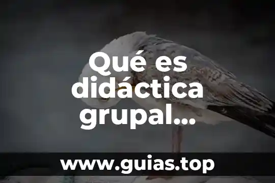 Qué es proletariado concepto 6 Qué es didáctica grupal concepto
