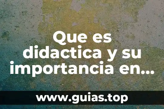 Ser docente que es 8 Que es didactica y su importancia en la labor docente