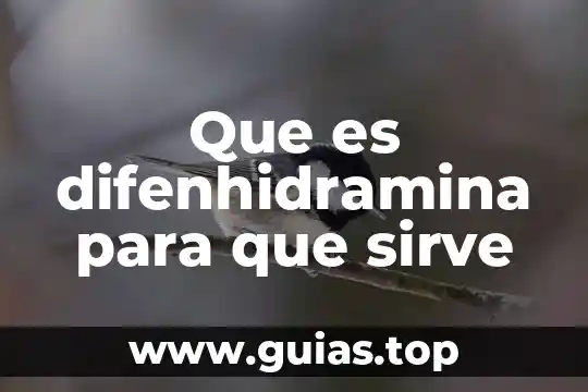Fusion360 que es y para que sirve 3 Que es difenhidramina para que sirve