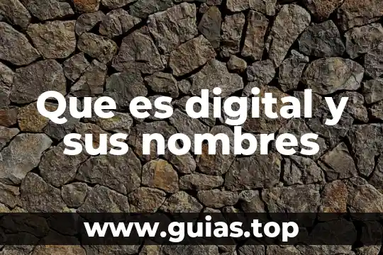 Que es un luxometro digital 6 Que es digital y sus nombres
