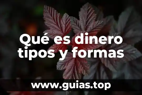 Formas de utilizar la mercadotecnia directa integrada que es 3 Qué es dinero tipos y formas