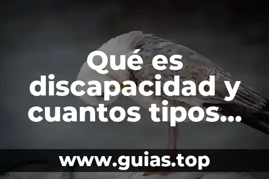Que es un grupo social y cuantos tipos existen 4 Qué es discapacidad y cuantos tipos hay