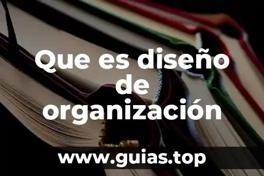 Qué es una organización económica definición 6 Que es diseño de organización