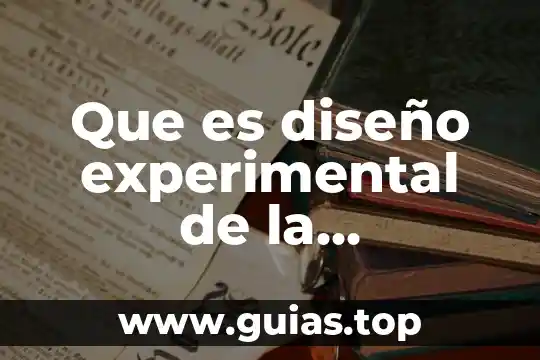 Qué es el soporte neural en psicología experimental 6 Que es diseño experimental de la psicologia