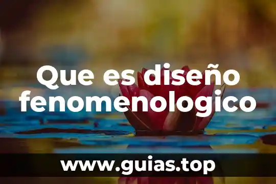Que es ser liderazgo ejemplo 4 Que es diseño fenomenologico