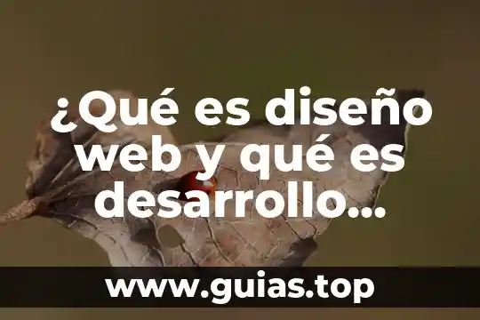 Qué es la sexualidad definición 5 ¿Qué es diseño web y qué es desarrollo web?