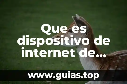 Que es la red de internet y tipos 4 Que es dispositivo de internet de redes
