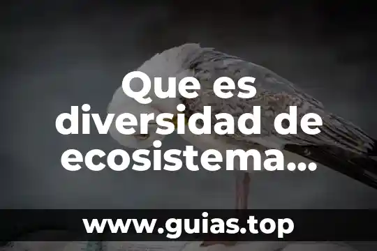 Termopar que es y tipos 3 Que es diversidad de ecosistema resumen