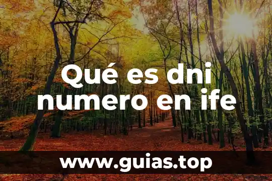 Qué es el número de apertura 7 Qué es dni numero en ife