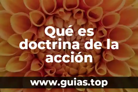 Que es doctrina definicion y concepto 5 Qué es doctrina de la acción