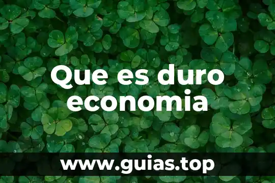 Historiadores que es 6 Que es duro economia