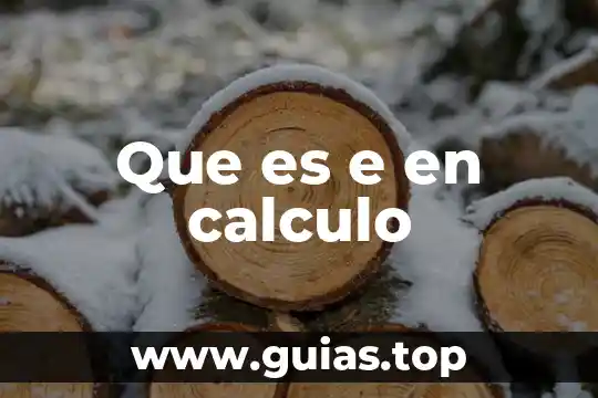 Que es grado de riesgo calculo 7 Que es e en calculo