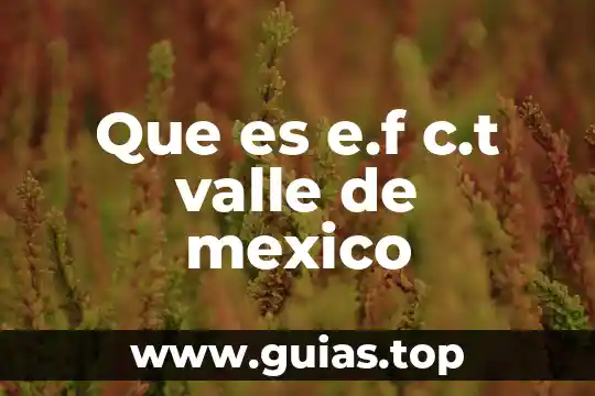 Que es mexico concepto 5 Que es e.f c.t valle de mexico