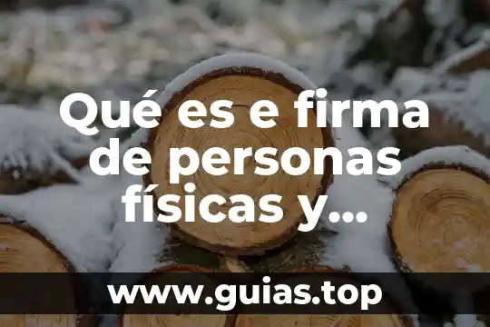 Que es una firma digital para drivers 7 Qué es e firma de personas físicas y morales