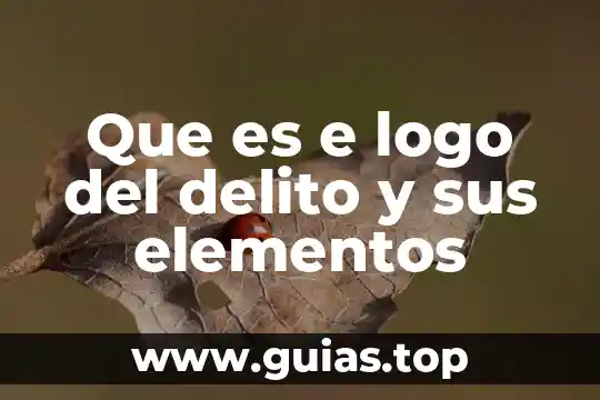 Qué es la manga elementos 5 Que es e logo del delito y sus elementos