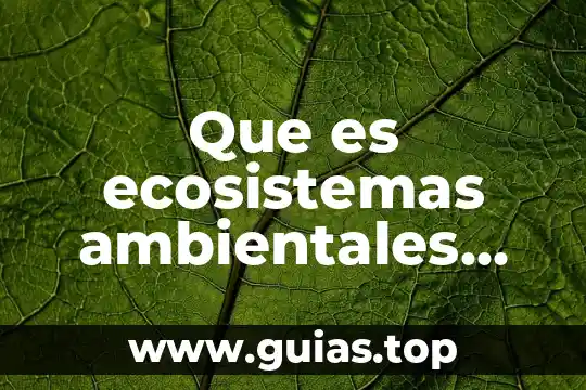 Que es una constitución en libros 4 Que es ecosistemas ambientales libros