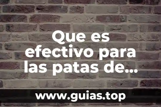 Conectivos lógicos que es 8 Que es efectivo para las patas de gallo