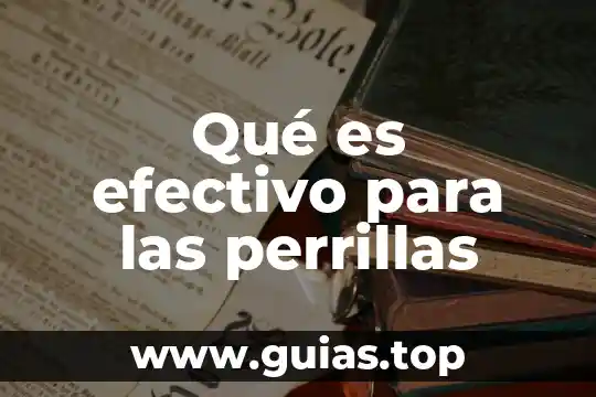 Que es una proyeccion de flujo de efectivo 3 Qué es efectivo para las perrillas