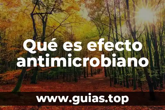 Que es un muñeco vudu y como revertir su efecto 4 Qué es efecto antimicrobiano