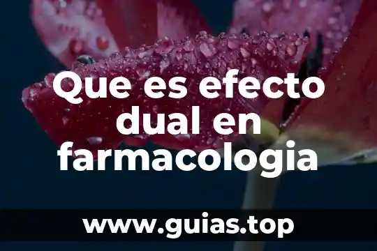 Qué es una inferencia lógica matemática 4 Que es efecto dual en farmacologia
