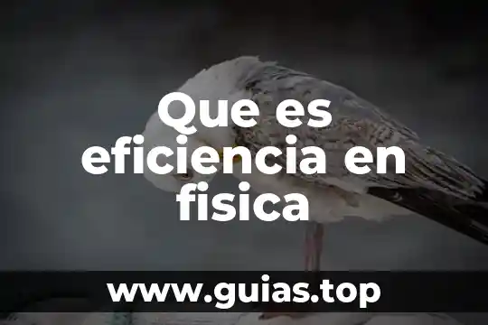 Que es coordinacion en educacion fisica para niños 7 Que es eficiencia en fisica