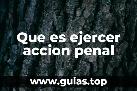 Que es la muerte en derecho penal 4 Que es ejercer accion penal