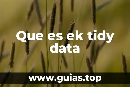 Data guar broker que es 3 Que es ek tidy data