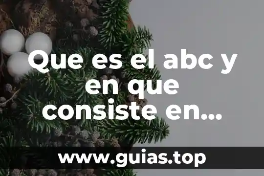 Qué es bienes concepto en definición abc 7 Que es el abc y en que consiste en medicina