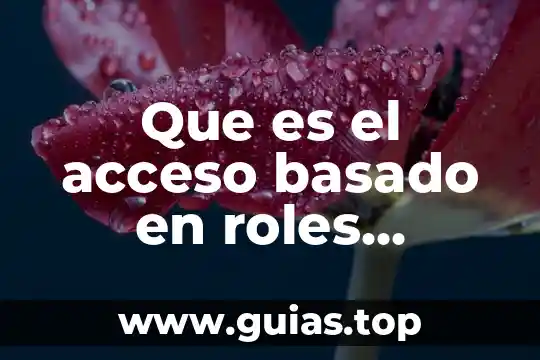 Que es un aprendizaje basado en competencias 6 Que es el acceso basado en roles autorizacion