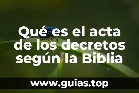 Según la psicología que es laceración 4 Qué es el acta de los decretos según la Biblia