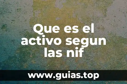 Qué es la inversión en planta según las NIF 6 Que es el activo segun las nif