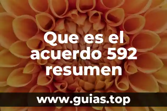 Que es un resumen como se hace 4 Que es el acuerdo 592 resumen