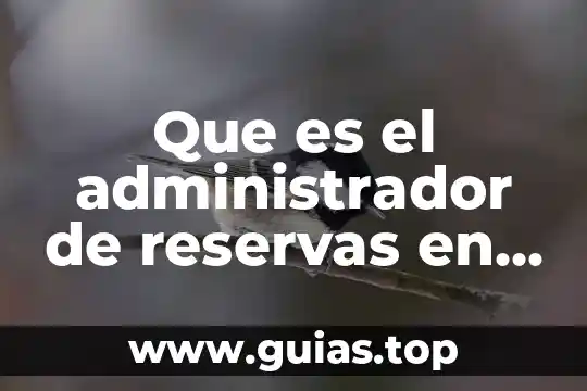 Que es un administrador rafael castillo y cruz 8 Que es el administrador de reservas en grepolis