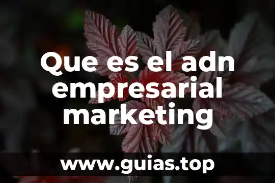 Que es la presentación y conclusión de un texto argumentativo 8 Que es el adn empresarial marketing