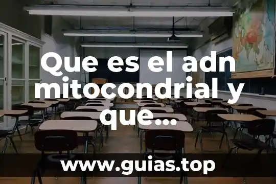 Que es pensamiento de diseño 7 Que es el adn mitocondrial y que importancia tiene
