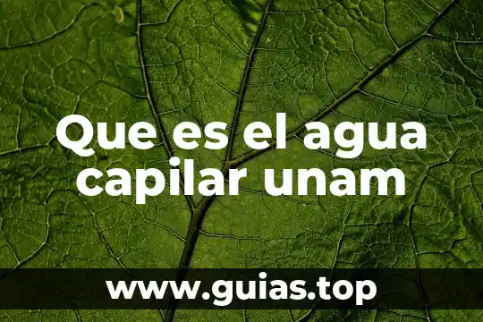 Que es imputabilidad y sus elementos 8 Que es el agua capilar unam