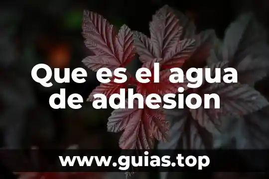 Que es el proceso de condensación del agua cuando ocurre 5 Que es el agua de adhesion