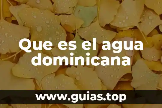Que es mas pesado agua o hielo 4 Que es el agua dominicana