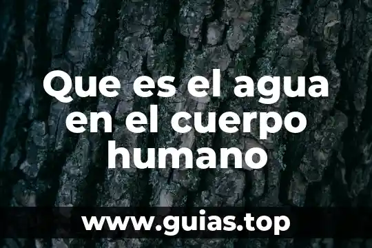 Que es agua del norte 5 Que es el agua en el cuerpo humano
