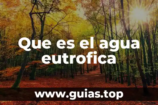 Que es agua pura definicion 5 Que es el agua eutrofica