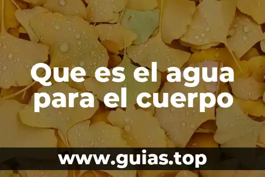 Qué es un cuerpo de ebullición 8 Que es el agua para el cuerpo