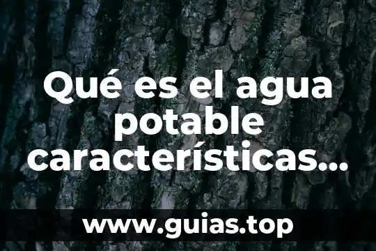 Porcentaje del cuerpo humano que es agua 8 Qué es el agua potable características y definición