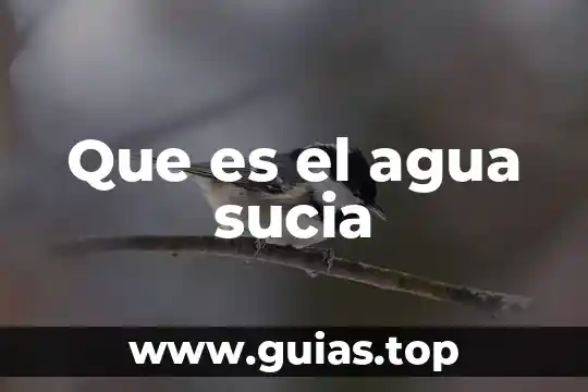 Que es nadar en agua sucia 4 Que es el agua sucia