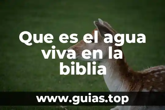 Qué es la auditoria y tipos 6 Que es el agua viva en la biblia