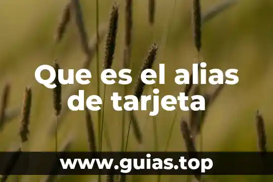 Que es una tarjeta logica en una computadora 7 Que es el alias de tarjeta